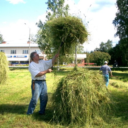 Näytä suurempi kuva